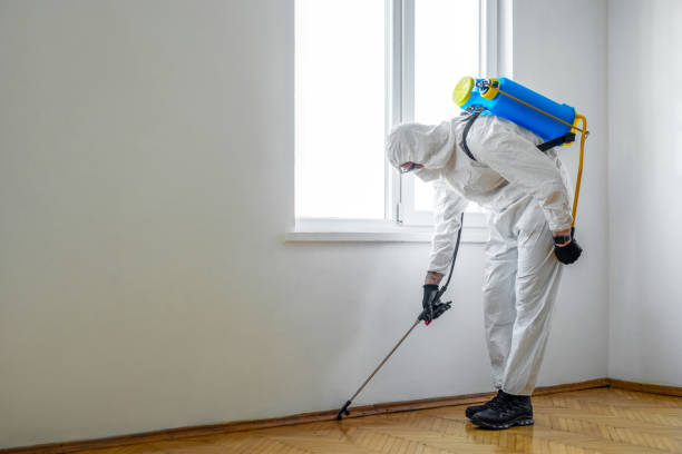 Insect Control in Murphy, TX