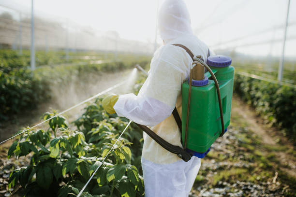 Best Best Pest Control Companies  in Murphy, TX